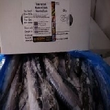 Makrel 20 kg i blok MSC B-kvalitet